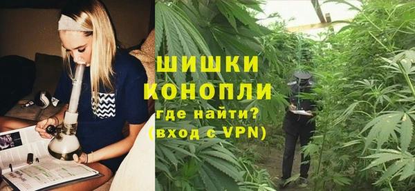 прущие грибы Карпинск