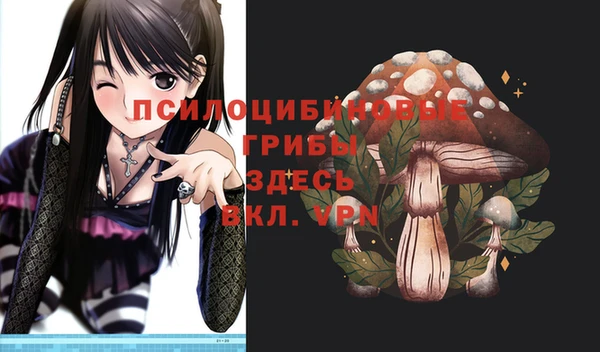 mdma Карпинск